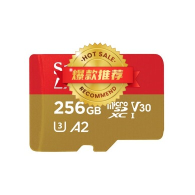 闪迪内存卡存储卡256G记录仪SD卡手机A1TF卡16G 32G 64G128G适用|undefined