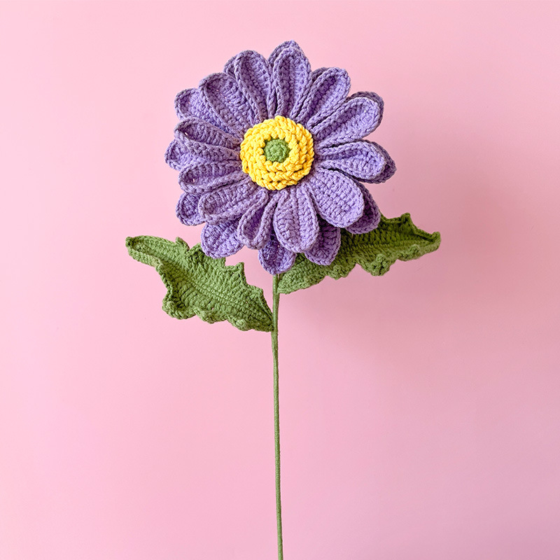 Simple Style Classic Style Flower Dried Flower Imitation Plants display picture 5