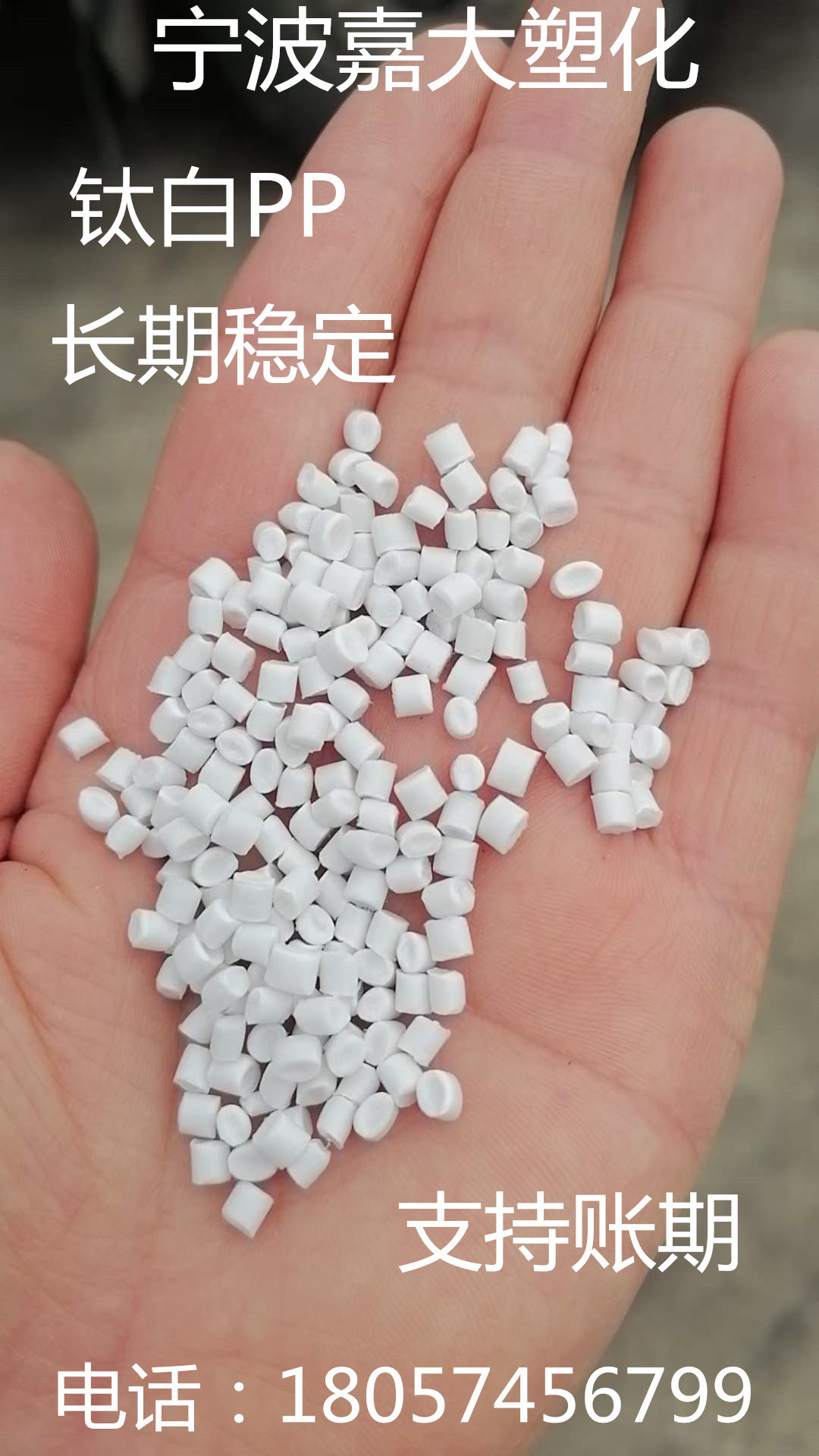 高冲低溶钛白共聚PP再生回料 冲击55 溶脂5 可代替K8003 价格便宜