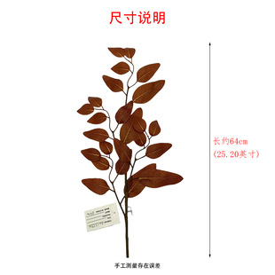 ���������~ ����b��~ �Ҿӻ�c�廨��� �ɏ���ֲ��֦ �L 64cm