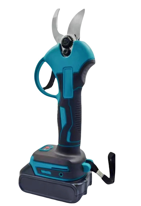 ΢��ͼƬ_20241212154156