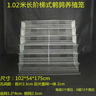 �ӯBʽ�g���\���u�\�Bֳ���u�\ȫ���O�����wʽ�B�\�Bֳһվʽ����