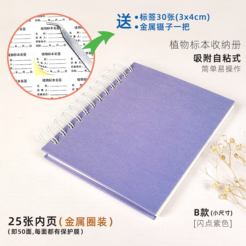 인화점 보라색(B형 소형) 표본 없음