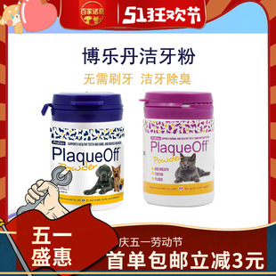 �������������坍���X���Yʯ�ڳ������߿�ǻ؈�䝍���������X