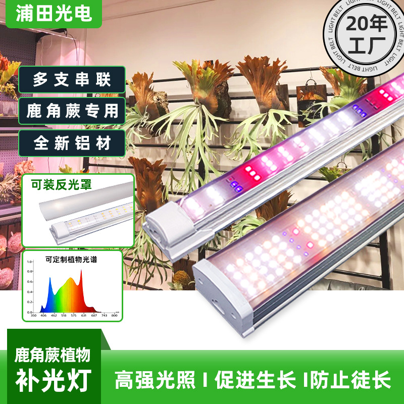 Luz de crecimiento de plantas de espectro completo orquídea orquídea fresa valor térmico flor interior LED planta suculenta luz suplementaria