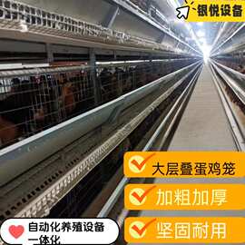 H型全自动化  立式层叠养殖养鸡大层叠设备  捡蛋/清粪/饮水/喂料