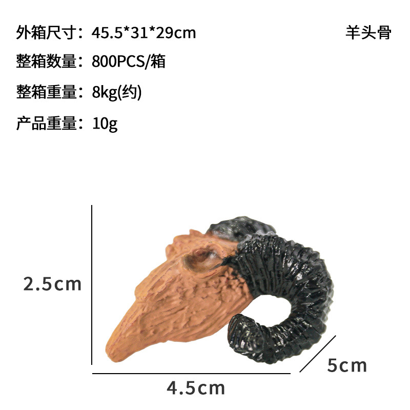 Cráneo dinosaurio cráneo acuario escalada pet crawler caja pecera DIY paisaje decoración simulación PVC Tyrannosaurus naufragio