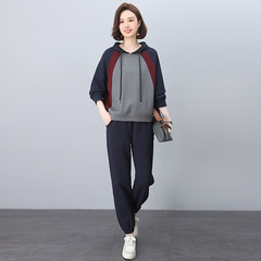 中高年のお母さんの春の服の長袖の服のスーツの2025の新型の洋気はやせている太っているお母さんの春秋のゆったりしている上着を現します。