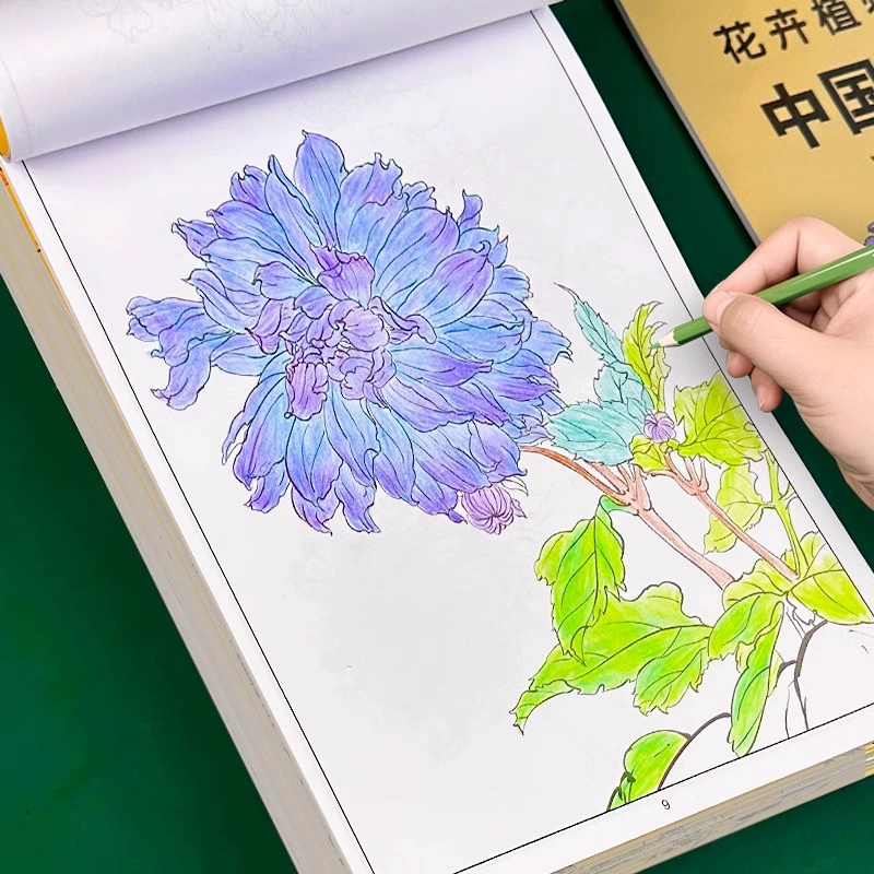 Children's Chinese copybook for elementary school students, practice, coloring book