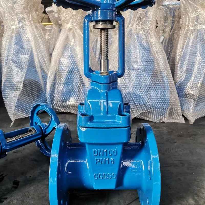 法兰铸铁闸阀Z41T-10明杆法兰闸阀DN150硬密封闸阀国标大体闸阀