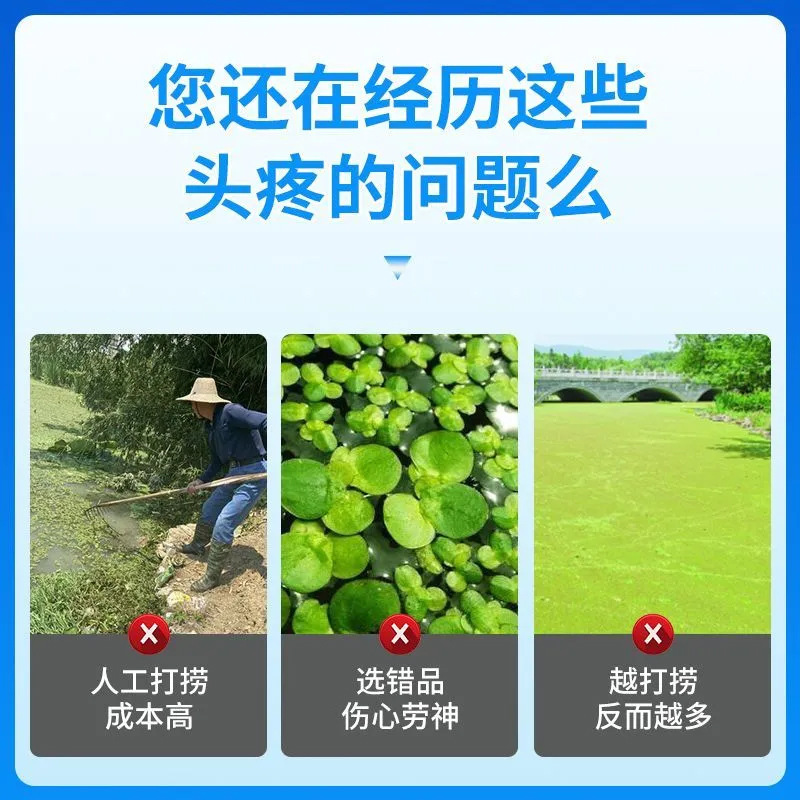 水草を殺すための特別な水草除去剤、魚、エビ、カニを傷つけない水産養殖用の水草除去剤|undefined