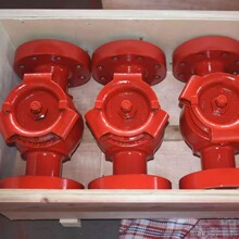 2-1/16�� 70Mpa ���m�����y��Ҏ�񹤘I�߉����mʽ�����y �ܷ�����