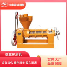 国瑞油脂 出油率高食用油自动温控榨油机 茶籽山桐子可用压榨设备
