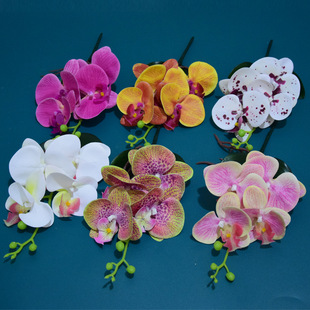 3D��ӡ���^�����m���滨�������Ժ����m�ٻ��@���辰�羳���Q����