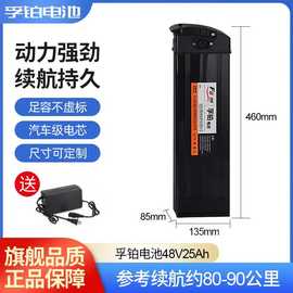 电动车锂电池48V折叠电动车电瓶代驾车锂电池大容量海霸款跨境