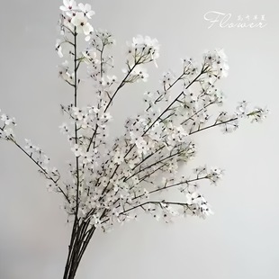 �����滨֦����ʽ��ˇ���Ļ�c�ҾӲ����b[���zӰ���߷��滨