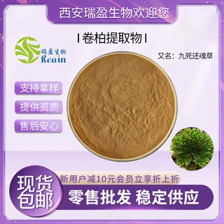 卷柏提取物/ 九死还魂草  西安瑞盈 植物萃取 卷柏粉 现货包邮
