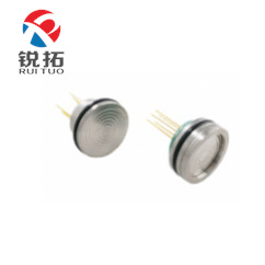 CELMI WTT19-硅压阻式压力芯体