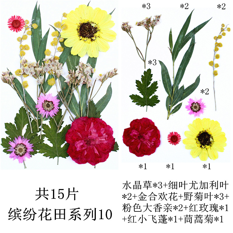 다채로운 꽃 밭 조합 10