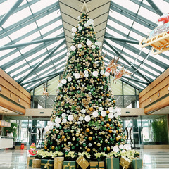 クリスマス 3.4m/5/6/8/10m ホテル広場フレーム クリスマスツリー 装飾ライト付きパッケージ ホリデーデコレーション