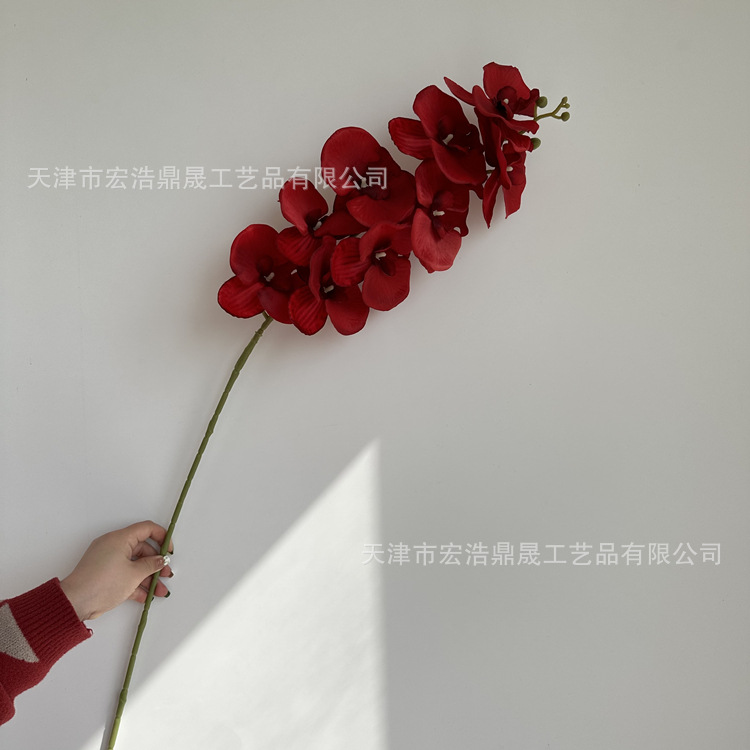 微信图片_202303031341509_副本