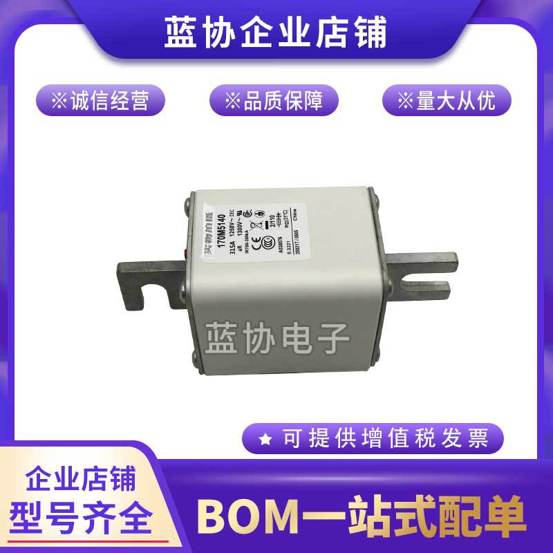 170M4830 170M4831 170M4832 170M4833 170M4834 170M4835熔断器