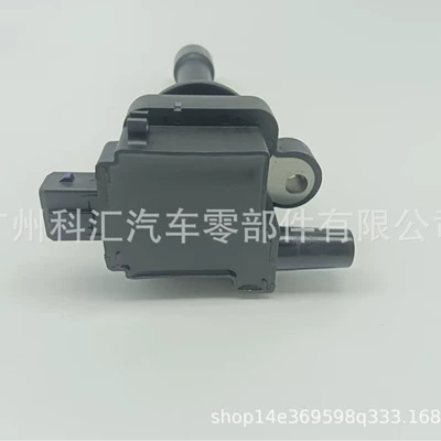Alovlanma bobini (Babinalar) F01R00A010 Geely