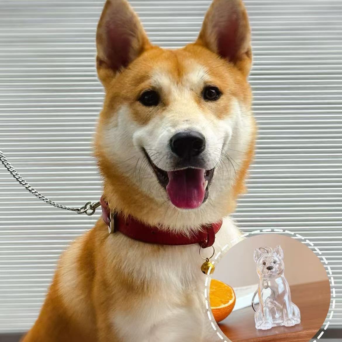 Perlo de mascota conmemorativo llavero colgante lindo perro colección de pelo transparente de perro grande forma de llave creativa