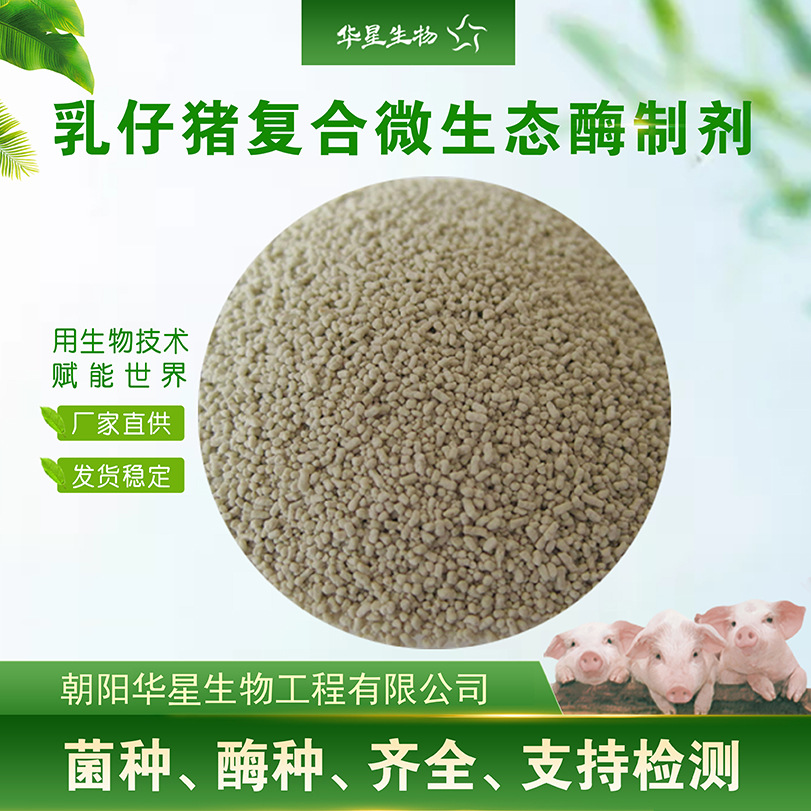 华星生物 乳仔猪多复合菌酶制剂 猪复合酶枯草芽孢杆菌饲料添加剂