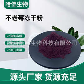 不老莓冻干粉 黑果腺肋花楸果冻干粉花青素野樱莓冻干粉