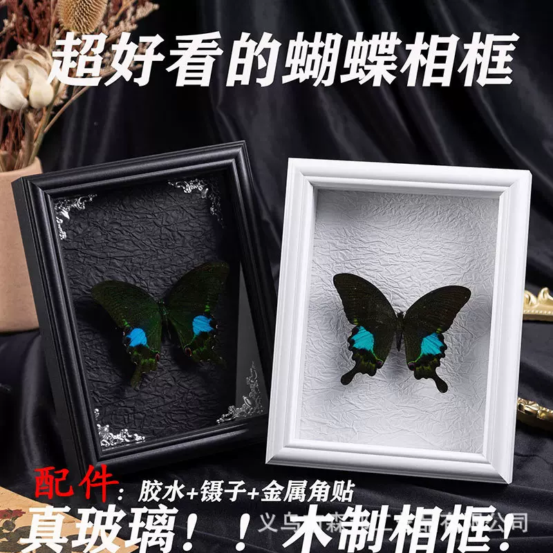 立体中空标本相框空框蝴蝶标本相框diy手工摆件吧唧展示框欧式