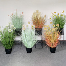 �����JȔ�Gֲ ��β�������ѹ�Ӣ����ݷ�����Ȕ�Ҿ��b���ؔ[��