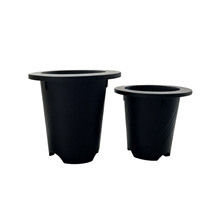 8.5CM-12CM�ȏ��f���໨���֬�������ԈA�΄��⻨���бP���l