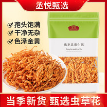 虫草花干货新鲜金蛹北虫草菇孢子头菇汤包煲汤凉拌菌菇食材