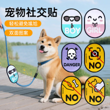 ������Kħ�g�N؈���������罻��ʾ�Z���N�޹��K�b�����ιʳ