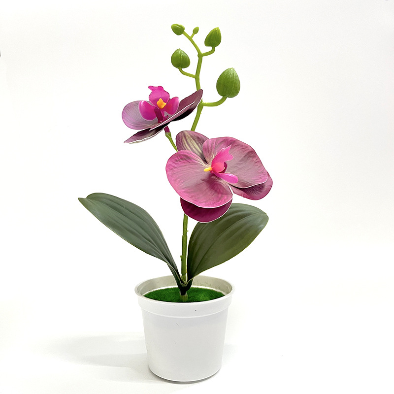 눈썹 보라색 (높이 25*가로 13cm)