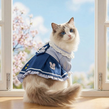���Č���؈�·�ħ��׃�b�Ʒ��B��ȹ����ȹ����؈�oë؈���·����l