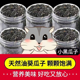 ���Ϳ��Ѻ�����С���ӿ������W�^�Bʳ�}��Z���Z�ڹ����B�Z