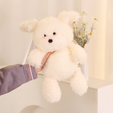 �ɐ۱��J������ë�q��߃�ͯ������żŮ����˯�������նY�ﲼ����