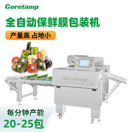 不锈钢保鲜托盘鲜肉包装机 蔬菜水果包装机 称重贴标保鲜膜包装机