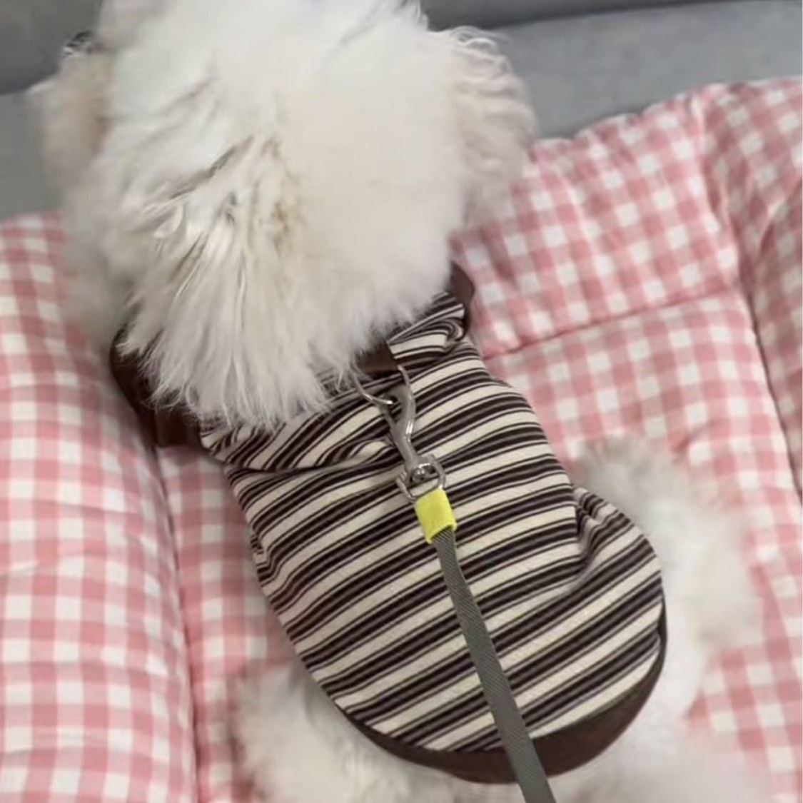Gatos otoño invierno ropa accesorios rayas mascotas perros pequeños peleas de peluche que osos suministros de camiseta de base universal transfronterizos