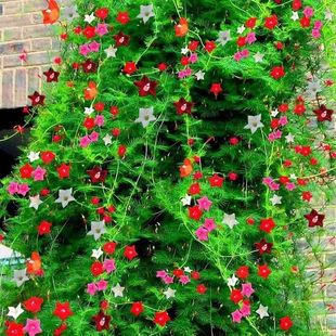 ���~�\�}���N��ͥԺ����ֲ������ǻ������������̨�ļ����ܷN��