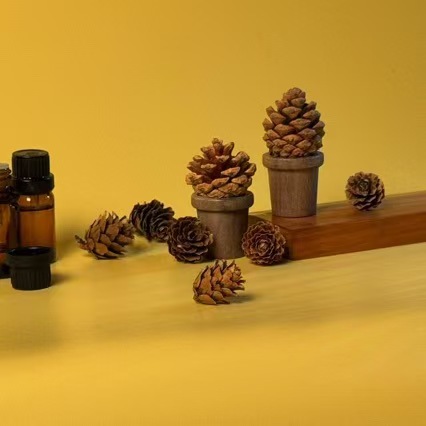 Creativo aromas de piñas de madera maciza, adornos de incienso de madera, aceite esencial, difusor de automóvil, dormitorio, oficina, madera de expansión sin fuego