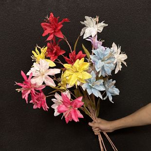 3�^С�ٺϷ��滨 ��Y�þƵ��b���·���廨 �zӰ���ռٻ��[��