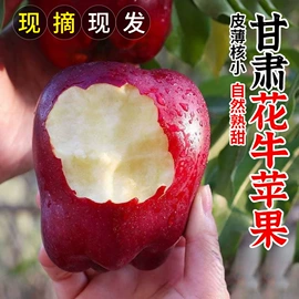 橙;菠萝蜜;雪莲果