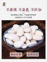 才饭豆东北大芸豆邹有五谷杂粮豆雪豆白芸豆白腰白扁豆新货豆子