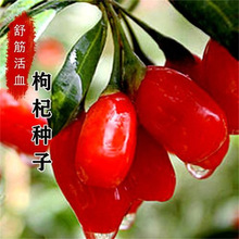 ������؛�����Ѻڹ���轷N�Ѻ���轷N�Ӽt��轷N���ļ��ɲ��߲���