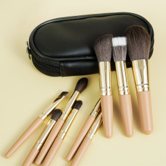 Cangzhou Mini 9-Piece Makeup Brush Set for Beginners, Portable Travel Powder and Contour Brush Set