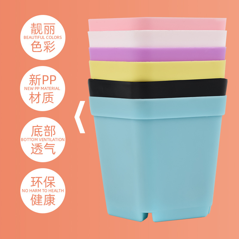 Fabricantes de macetas de plástico engrosadas con mucha carne pequeña maceta rectangular de color caramelo negro maceta de carne al por mayor