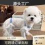 防尘比熊泰迪狗比熊